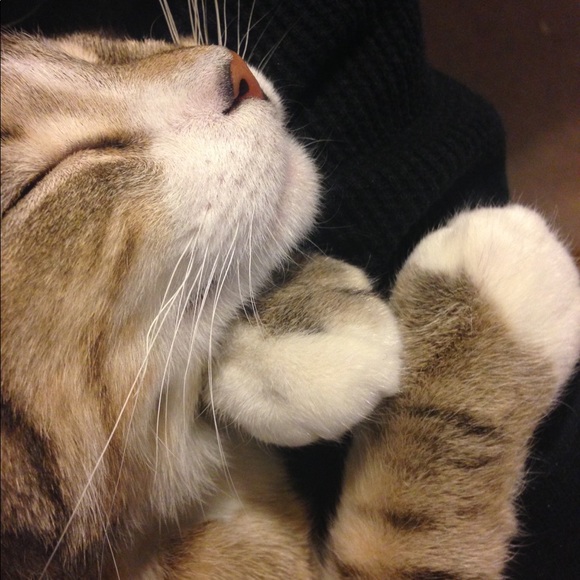 Meet your Posher, Jan - Picture 2 of 10